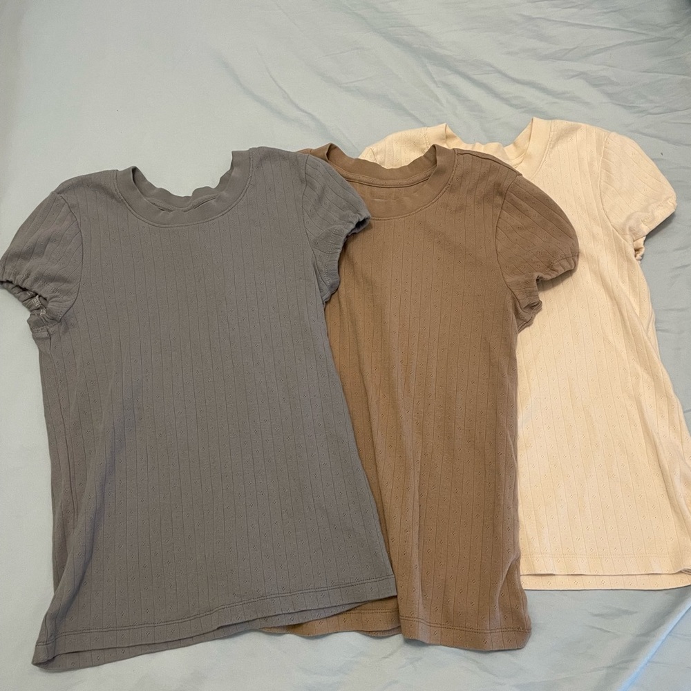 Everlane Shirts